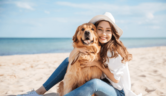 Vakantiehuis thema Weekendje weg aan zee met hond